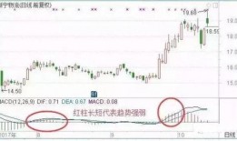 云霄卖瓜最新事件爆料,最新爆料揭示惊人内幕