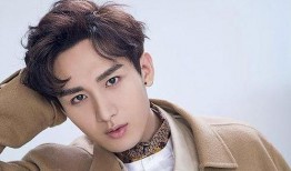 成毅主播爆料最新消息新闻,揭秘娱乐圈热点事件