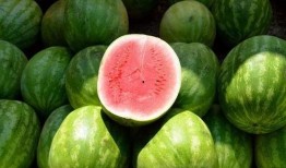 娱乐圈瓜的吃瓜心得,揭秘幕后真相与趣味八卦